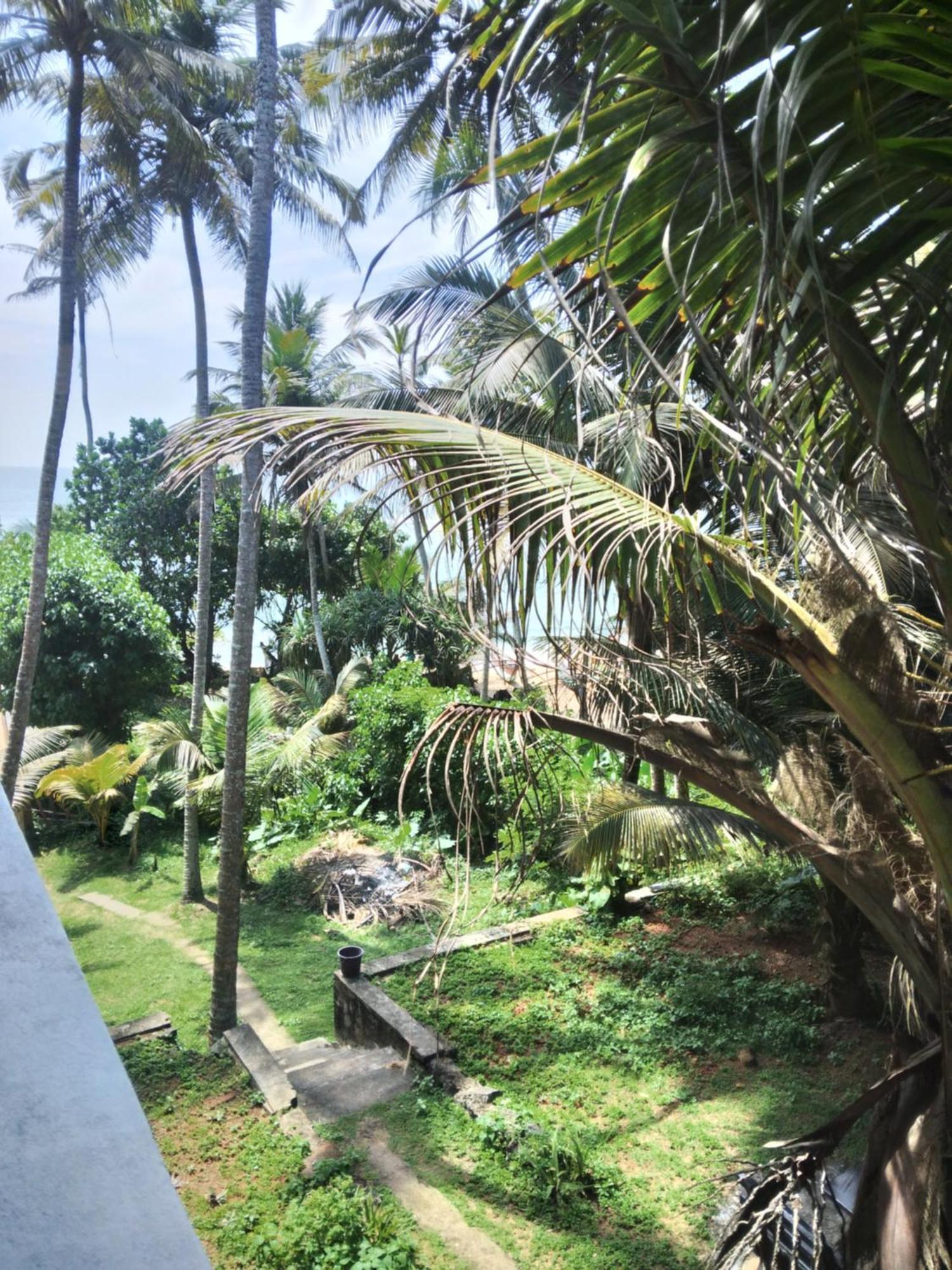 Sunray Rest - Beach View Homestay 미리사 외부 사진